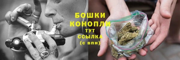 дурь Горнозаводск
