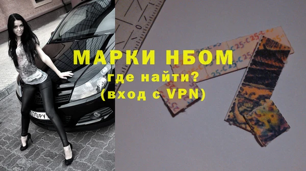прущие грибы Медвежьегорск