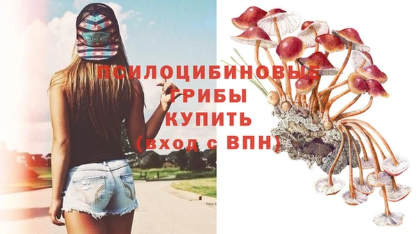 бошки Анжеро-Судженск